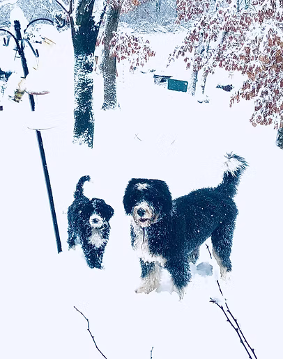 Bodie and Ben.jpg
